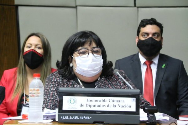 Plan de la Niñez “es inquietante” y busca imponer “ideología de género”, advierten