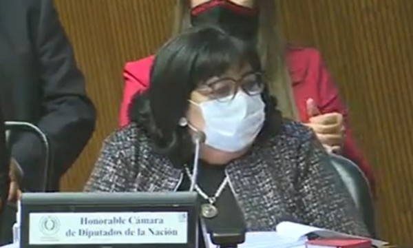 Cámara de Diputados: Interpelan a la Ministra de la Niñez - C9N