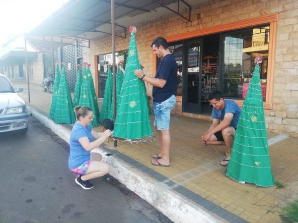 Roban alargues de arbolitos de Navidad en Misiones