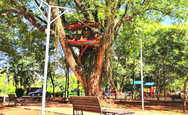 Minga Guazú: Instalan pesebre en un árbol para que no sea robado - ABC en el Este - ABC Color