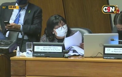 Interpelan a la Ministra de la Niñez en Cámara de Diputados - C9N