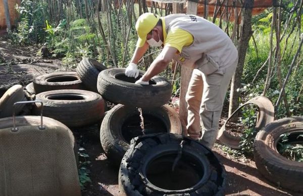 Desde Senepa instan a eliminar agua estancada