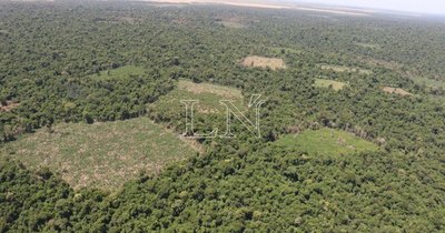 La Nación / Bienestar basado en la naturaleza, reza Informe de Desarrollo Humano 2020