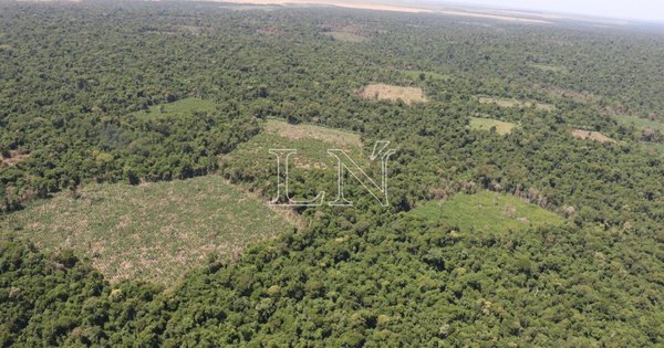La Nación / Bienestar basado en la naturaleza, reza Informe de Desarrollo Humano 2020