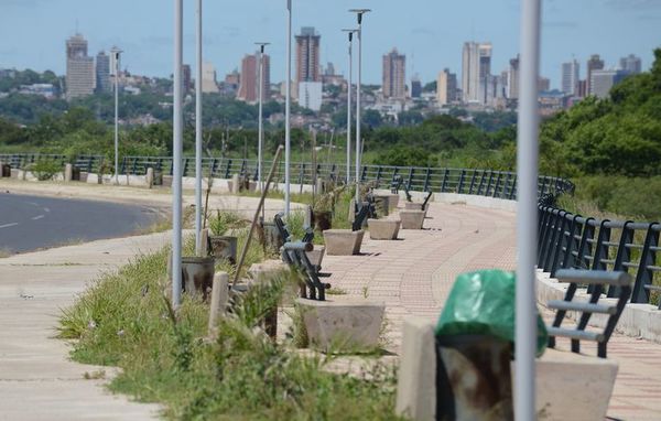 Malezas se apoderaron de senderos de Costanera Norte - Nacionales - ABC Color