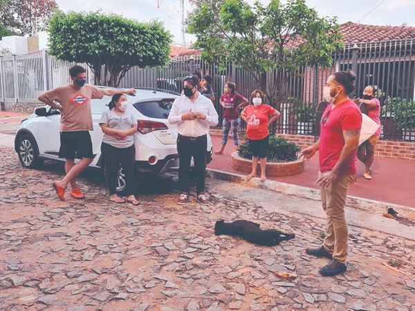 Capataz baleó a dos perros por entrar a quinta ajena