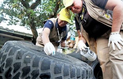 Dengue: Senepa intensifica trabajos ante aumento de notificaciones - Nacionales - ABC Color