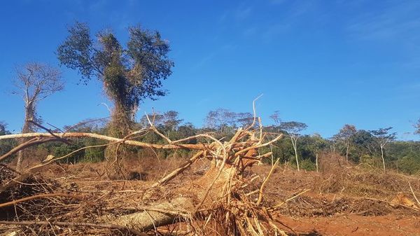 Fiscalía especializada imputa a extranjeros por depredación de reservas naturales
