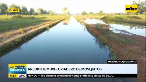 MRA: complejo luce abandonado y es potencial criadero de mosquitos - Nacionales - ABC Color