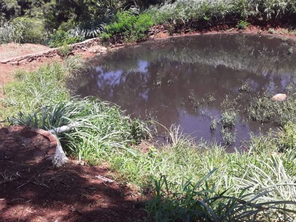 Vecinos del Matadero Municipal se quejan de olor nauseabundo