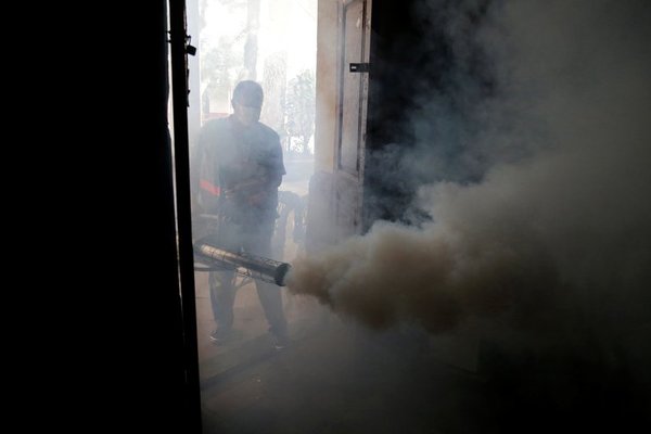 Salud emite alerta ante 200 casos semanales de dengue | OnLivePy