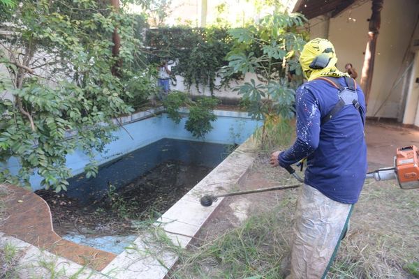 Salud emite alerta epidemiológica por dengue
