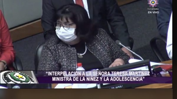 Ministra ejerció su defensa ante los diputados