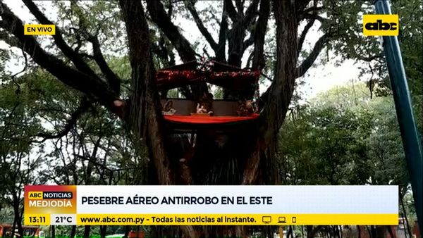 Pesebre aéreo “antirrobo” en el Alto Paraná - ABC Noticias - ABC Color