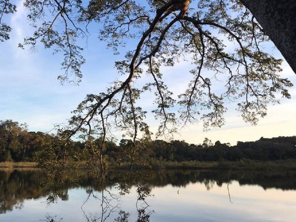 Diputados modifican proyecto y eliminan posible expropiación de bosque de laguna Yrendy