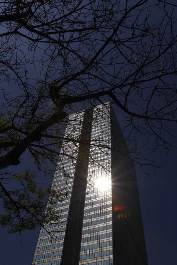 Pemex rescinde formalmente contratos ligados a la prima de López Obrador - MarketData