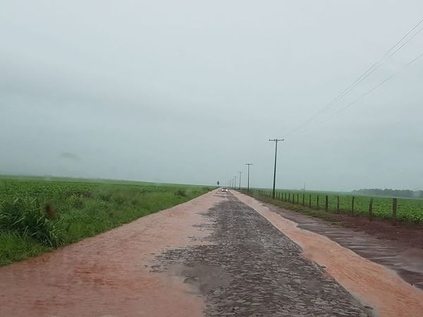 Se afianza el buen avance de la campaña agrícola - Nacionales - ABC Color