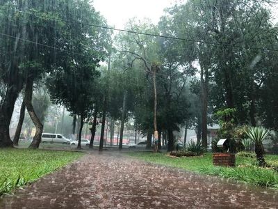 Alto Paraná: lluvia registrada es adecuada para el agro, dice técnico - ABC en el Este - ABC Color