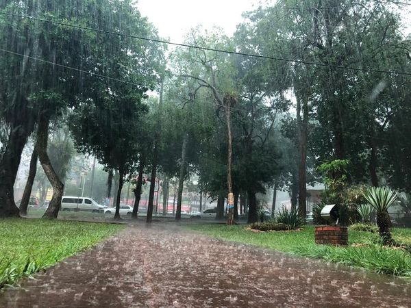 Alto Paraná: lluvia registrada es adecuada para el agro, dice técnico - ABC en el Este - ABC Color