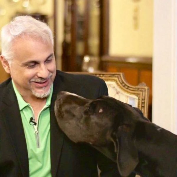 Aclaran que no hay contrataciones nuevas para la oficina de Recepción de Denuncias de Maltrato Animal » Ñanduti