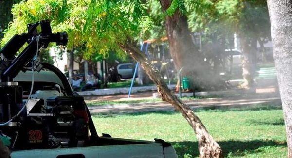 Fumigación no es mejor opción para combatir invasión de mosquitos, advierten - Nacionales - ABC Color