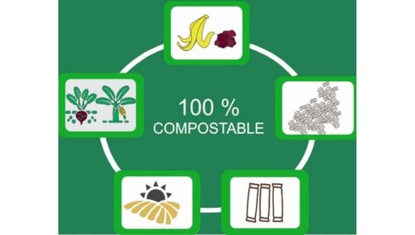 Emprendimiento nacional proyecta bioplásticos elaborados a base de cáscaras de banana y remolacha
