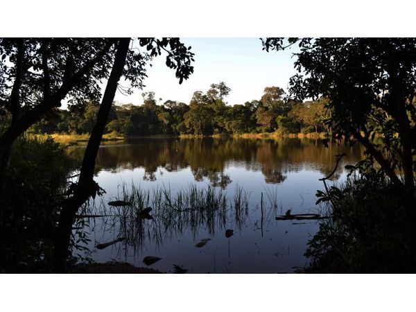 Diputados frena la  expropiación del Bosque Atlántico del lago Yrendy en CDE