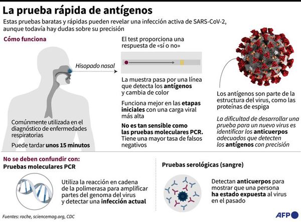Científicos de Reino Unido identifican una nueva cepa del SARS-CoV-2 - Mundo - ABC Color
