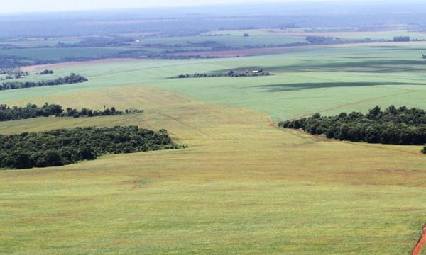 PDP apadrina creación de comisión nacional para recuperación de «tierras malhabidas»