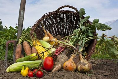 Agricultura orgánica y turismo, como opciones para diversificar la matriz productiva - MarketData