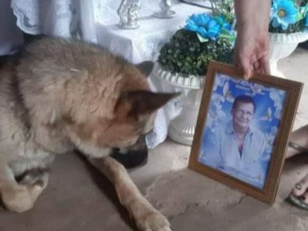 Perrito lloró por la muerte de su dueño