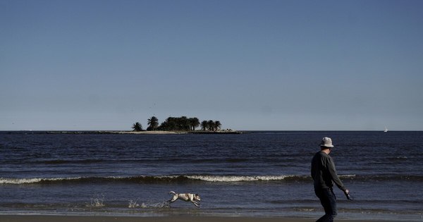 La Nación / Uruguay vive “primera ola” de COVID-19 y restringe ingresos hasta el 10 de enero