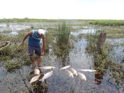 Mortandad de peces en 25 de Diciembre - Nacionales - ABC Color