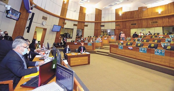 La Nación / Diputados da media sanción para régimen especial de aportes al IPS para varios rubros