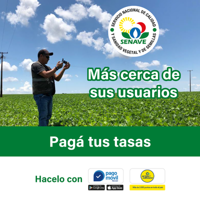 Senave implementará sistema de pagos en línea para todos sus servicios | .::Agencia IP::.
