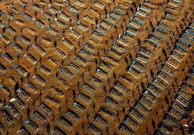 Brasil vuelve a superar 1.000 muertes diarias por covid-19 - Mundo - ABC Color