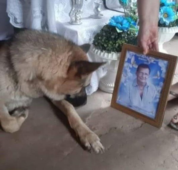 Crónica / Roky, el peludito que no se despega del altar de su amo