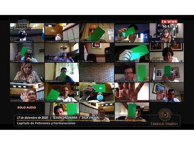 Varios senadores despiden el año denunciando persecución cartista