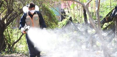 Salud emite alerta por dengue y pide frenar la invasión de los mosquitos - Nacionales - ABC Color