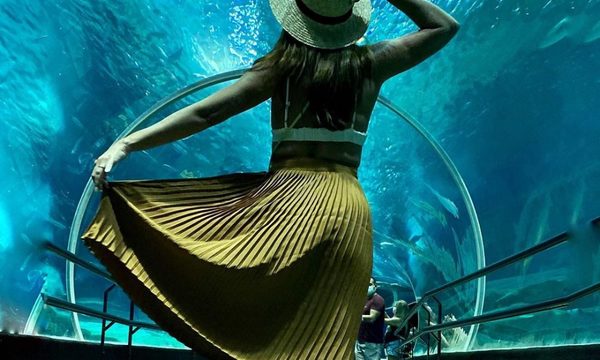 En Brasil, Santas bucean con tiburones