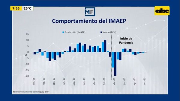 Enfoque Económico: ¿Qué es el Imaep? - Enfoque económico - ABC Color