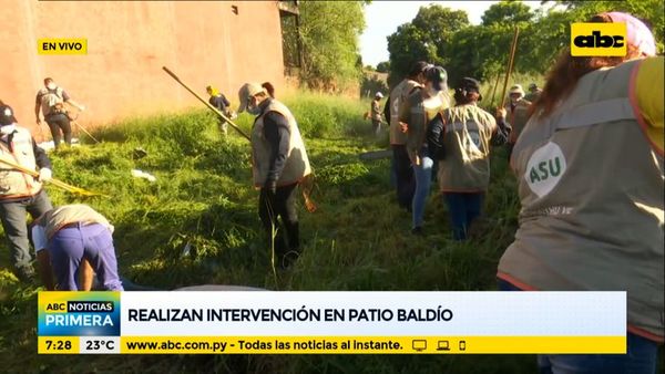 Realizan minga ambiental buscando eliminar criaderos - ABC Noticias - ABC Color