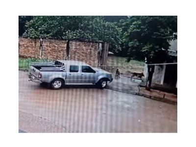 Crueldad animal:vecino le pisó con su camioneta a pastor alemán