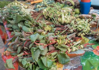 Los yuyos para el tereré - Nacionales - ABC Color