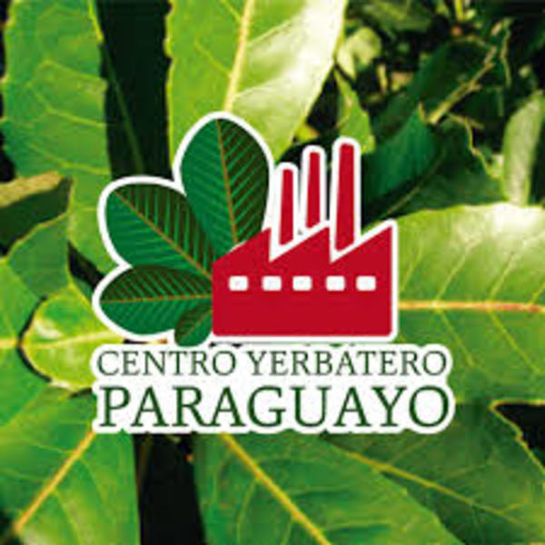 A yerbateros la pandemia no les golpea: aumentan 20 % producción y ventas - ADN Digital