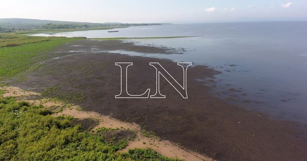 La Nación / Lago Ypacaraí: algas que aparecieron no son tóxicas, pero sigue contaminado por cianobacterias