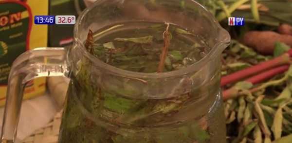 Conocé la historia del tereré y pohã ro´ysã | Noticias Paraguay