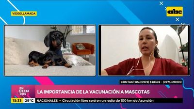 La importancia de la vacunación a nuestras mascotas - Ensiestados - ABC Color
