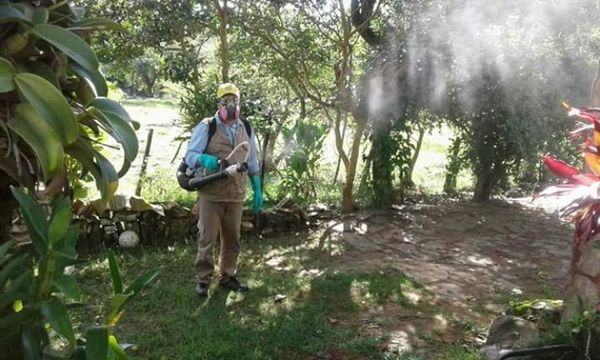 ¿Qué son las nebulizaciones realizadas por SENEPA?