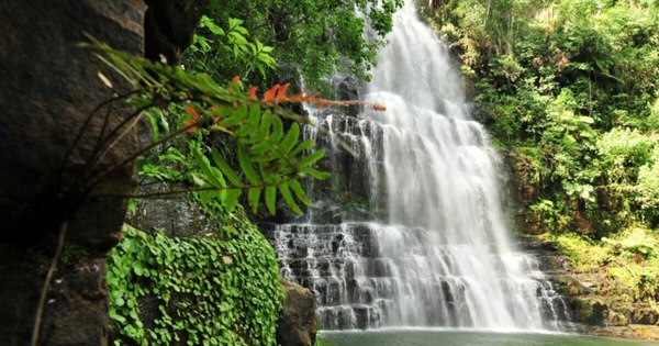 La Nación / Abrazá Canindeyú: proponen visitar atractivos naturales para reactivar la economía
